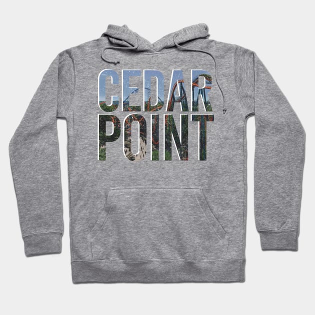 Cedar point Park Hoodie by himmih chromatic art